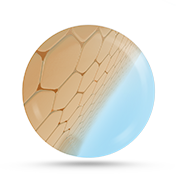 Lavora con i processi della tua pelle Lavora con i processi della tua pelle